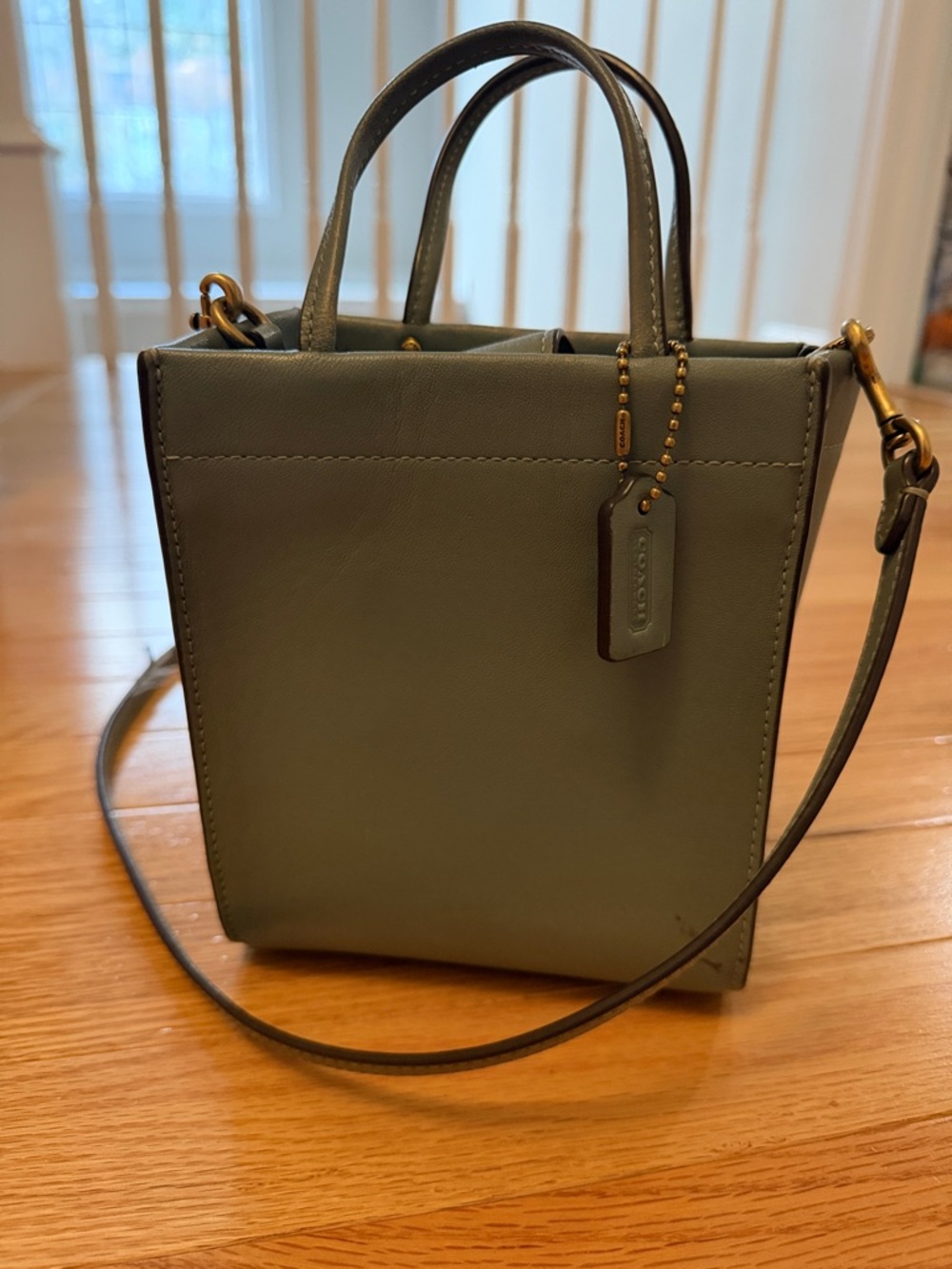 Coach Olive Leather Mini Crossbody Tote in Sage Green